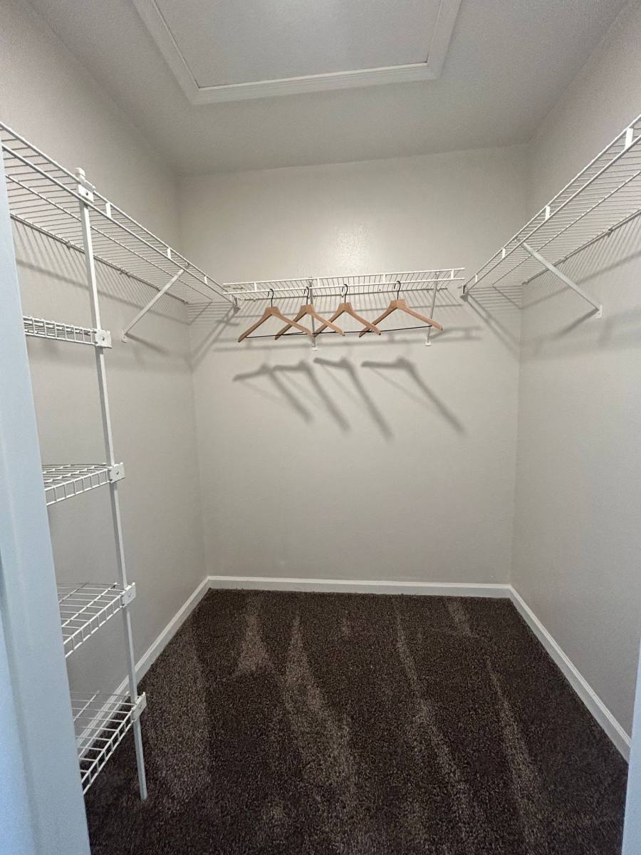 Apartment for rent at 1268 W Clark, Dewitt, MI 48820