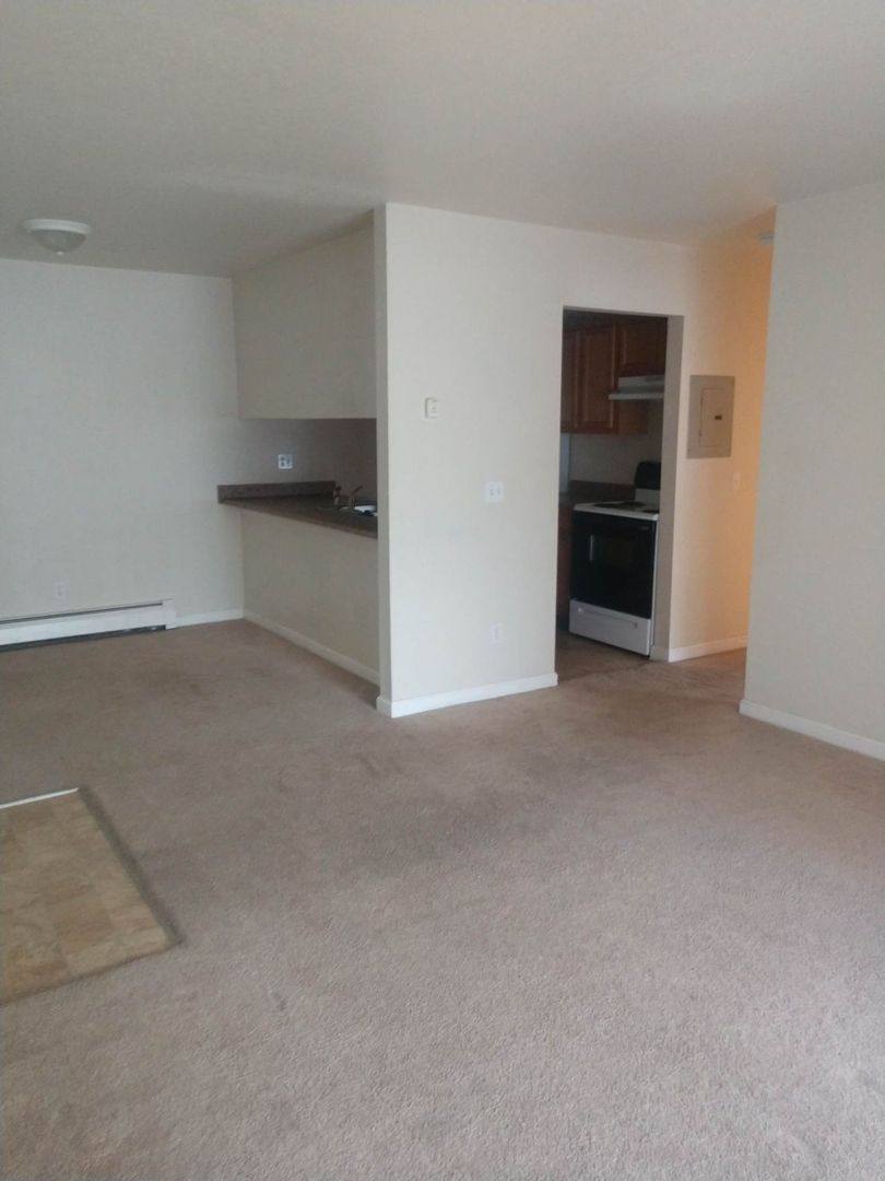 Apartment for rent at 240 Windsor St, Alma, MI 48801
