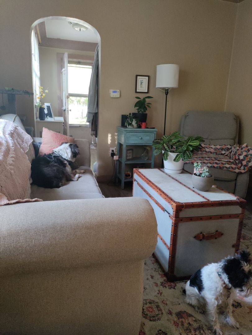 House for rent at 1816 Walnut St, Cedar Falls, IA 50613