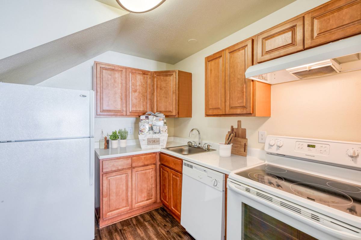 Apartment for rent at The Halston, 801 Spring Loop, College Station, TX 77840