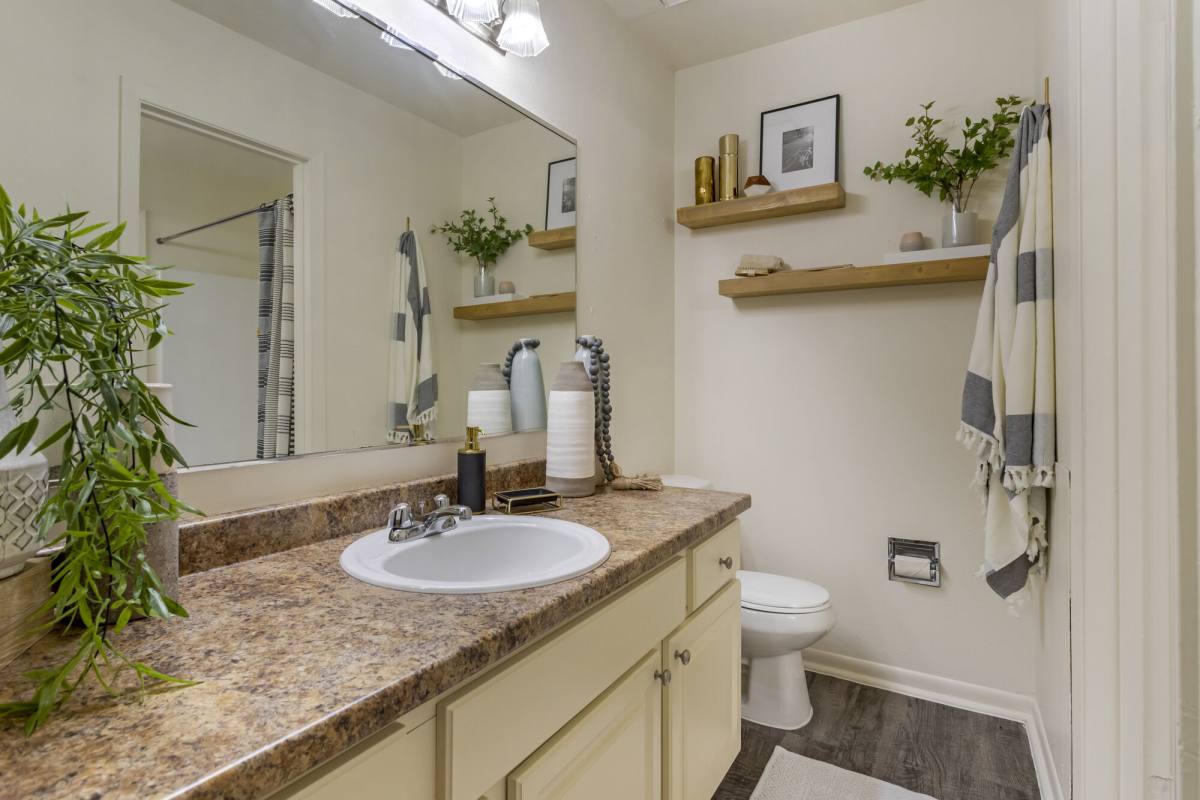 Apartment for rent at The Halston, 801 Spring Loop, College Station, TX 77840