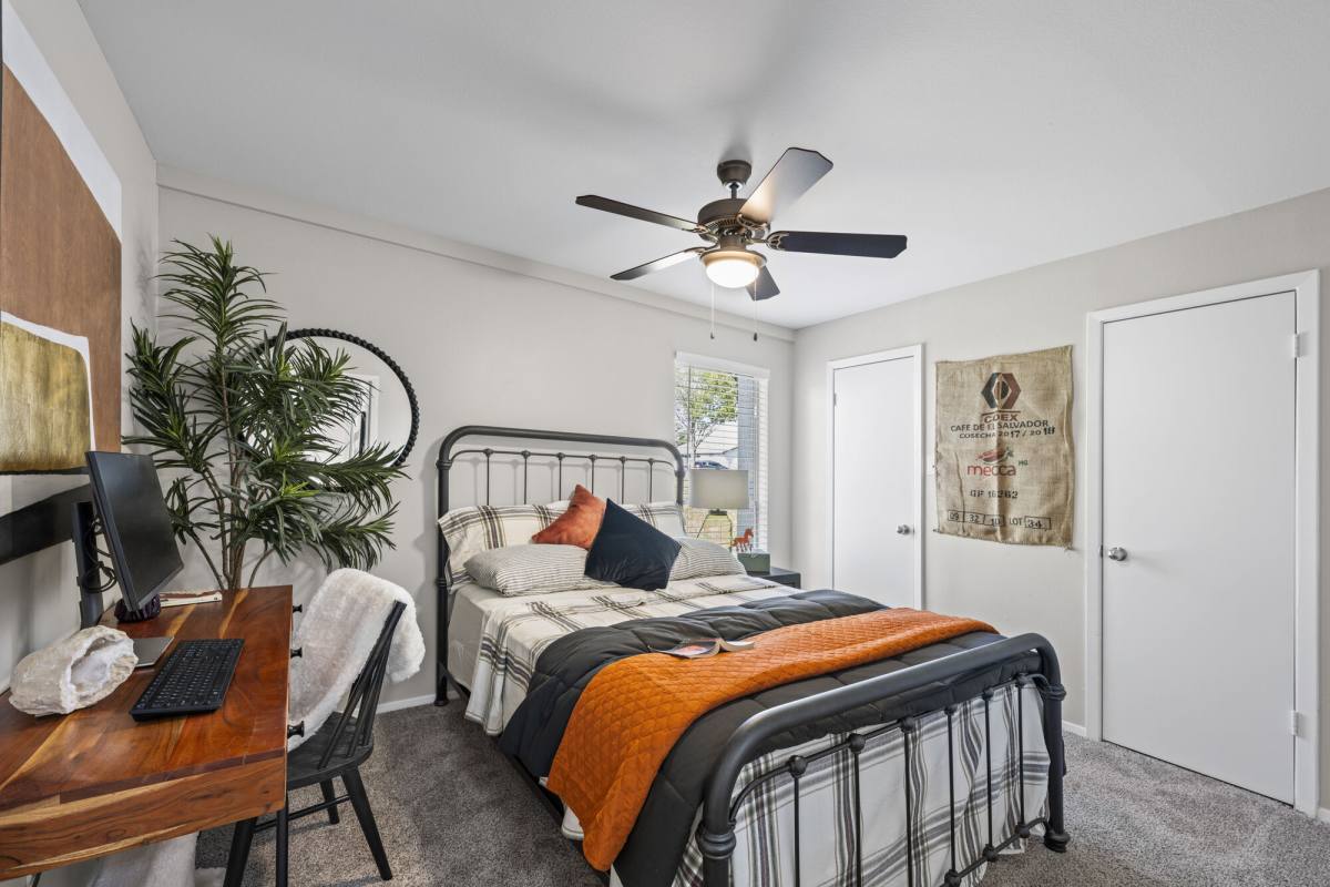 Apartment for rent at The Halston, 801 Spring Loop, College Station, TX 77840