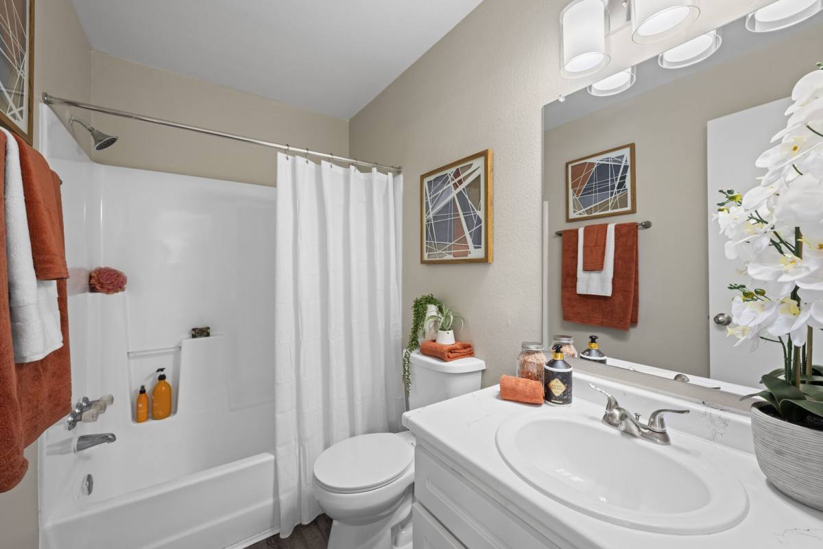 Apartment for rent at The Halston, 801 Spring Loop, College Station, TX 77840