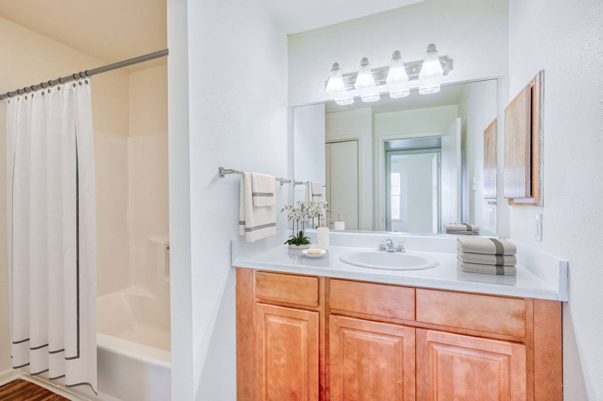Apartment for rent at The Halston, 801 Spring Loop, College Station, TX 77840