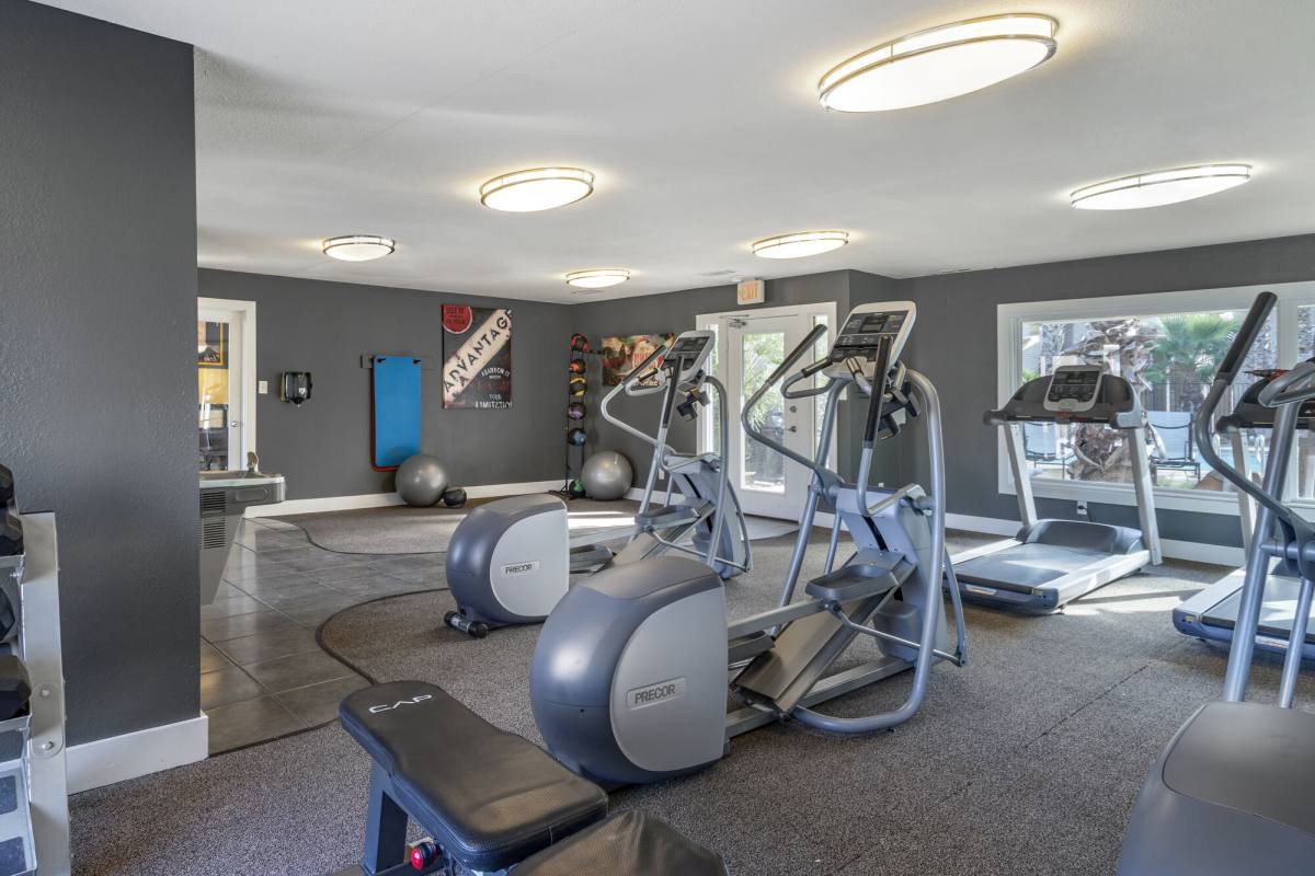 Apartment for rent at The Halston, 801 Spring Loop, College Station, TX 77840