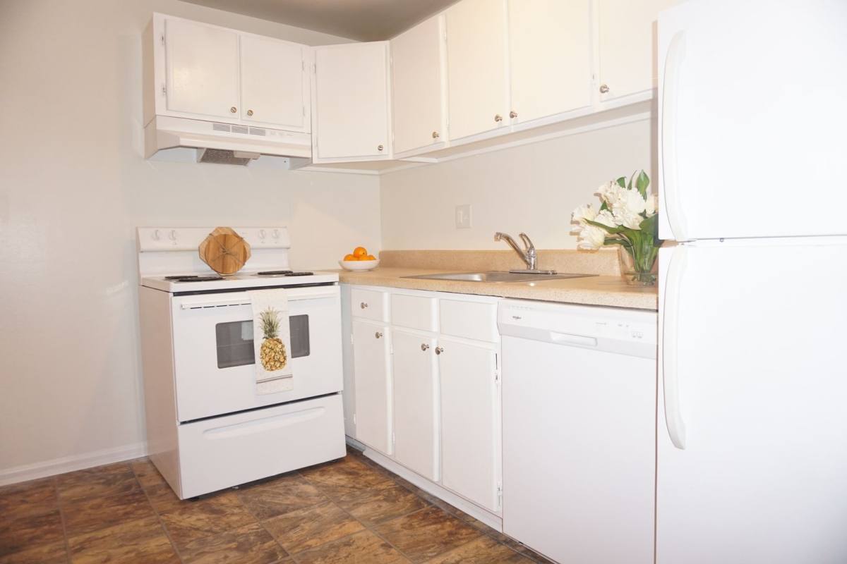 Apartment for rent at 146 S Lansdowne Ave, Lansdowne, PA 19050