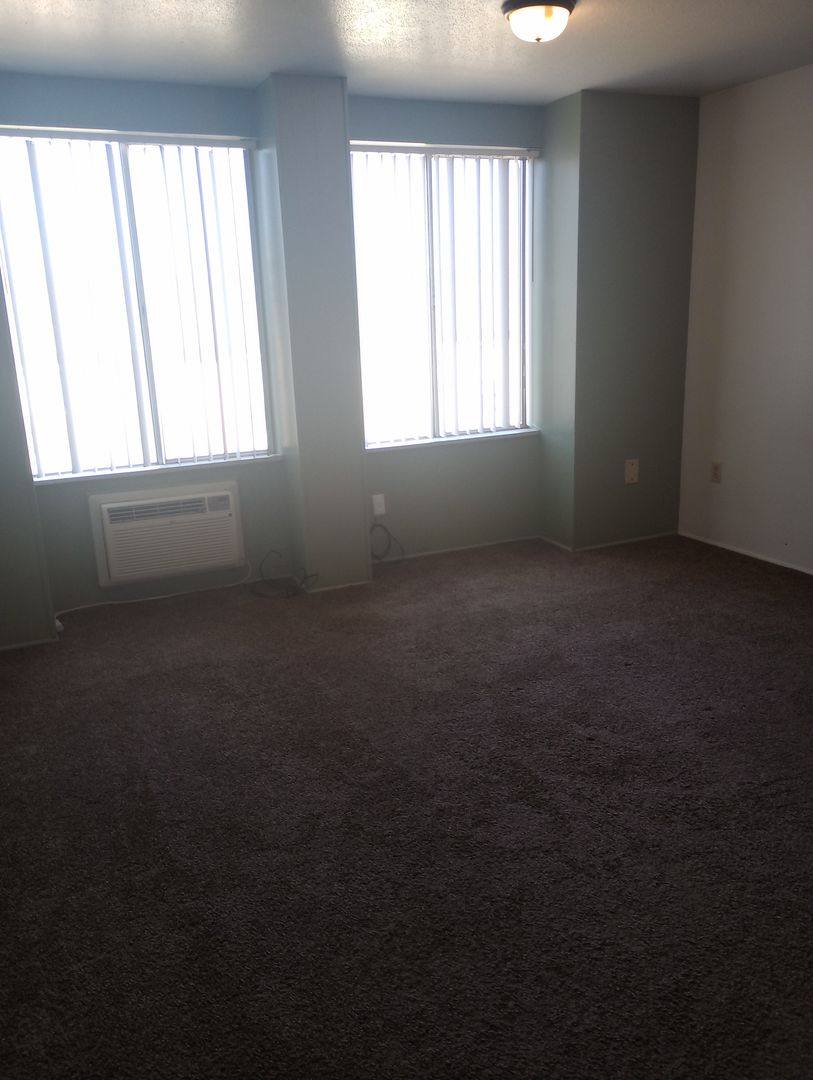 Apartment for rent at 1207 S Wall St, Carbondale, IL 62901