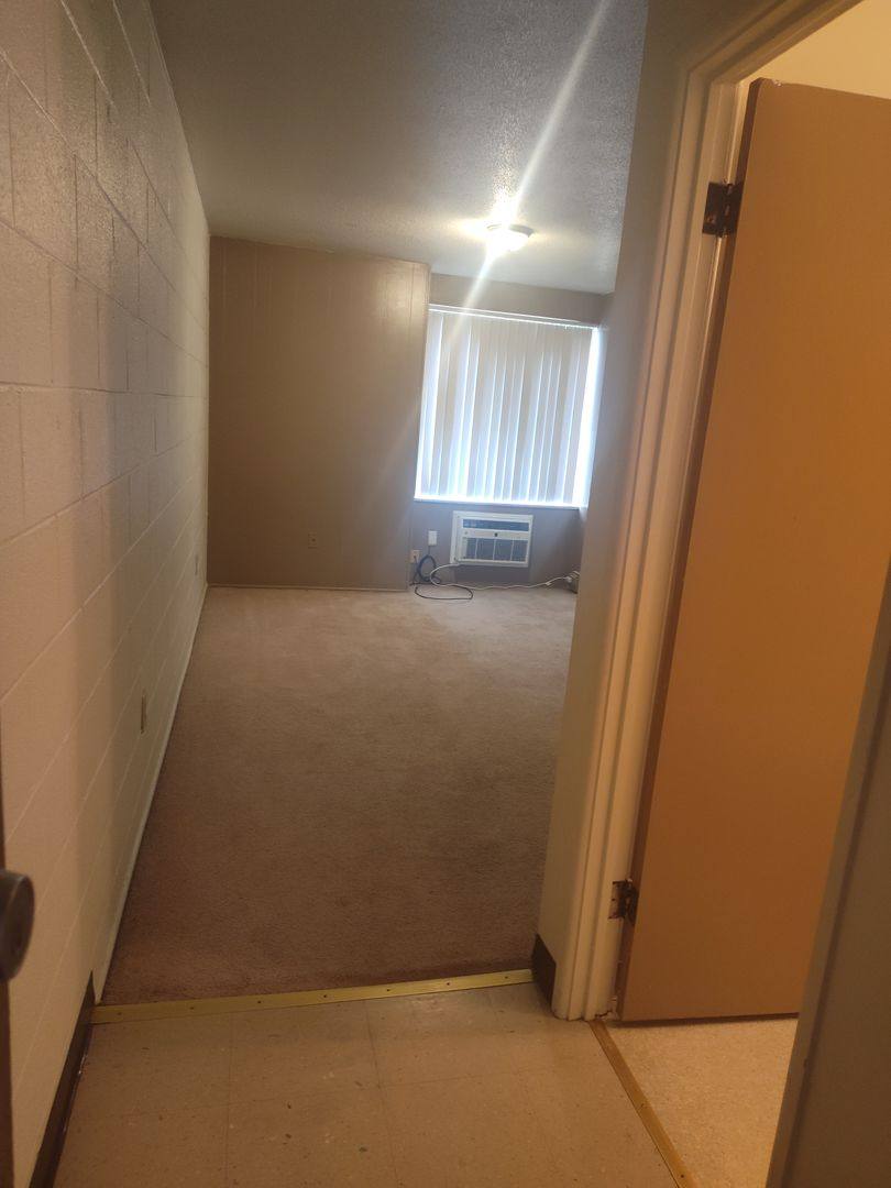 Apartment for rent at 1207 S Wall St, Carbondale, IL 62901