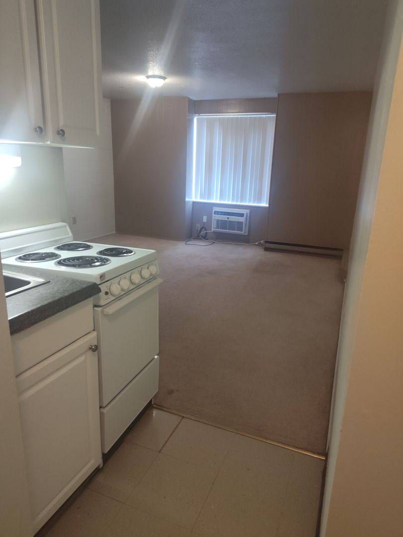 Apartment for rent at 1207 S Wall St, Carbondale, IL 62901