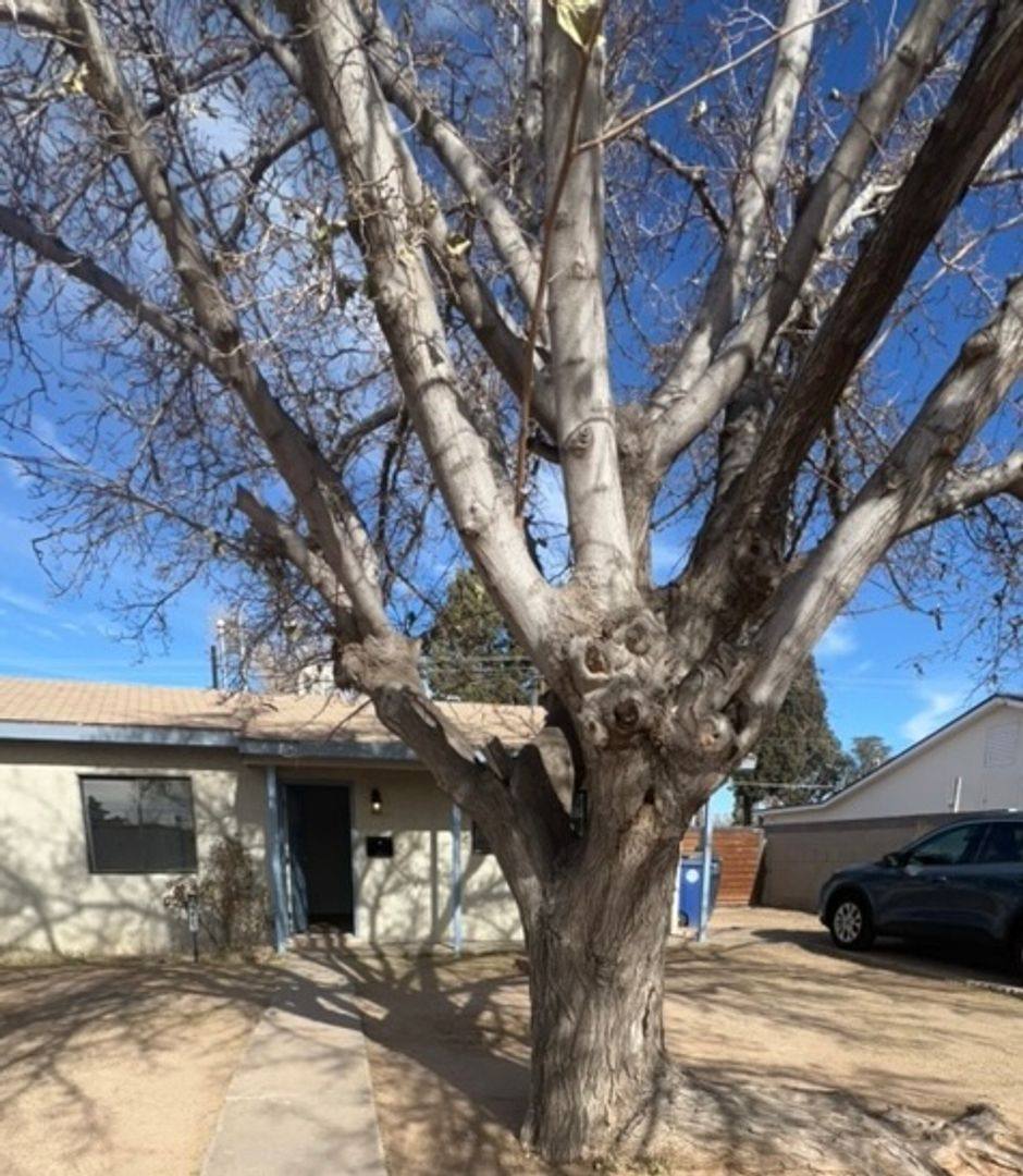 House for rent at 4823 Comanche Rd NE, Albuquerque, NM 87110