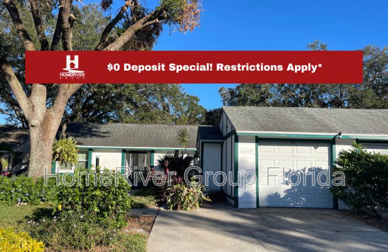 16019 Grass Lake Dr, Tampa, FL 33618