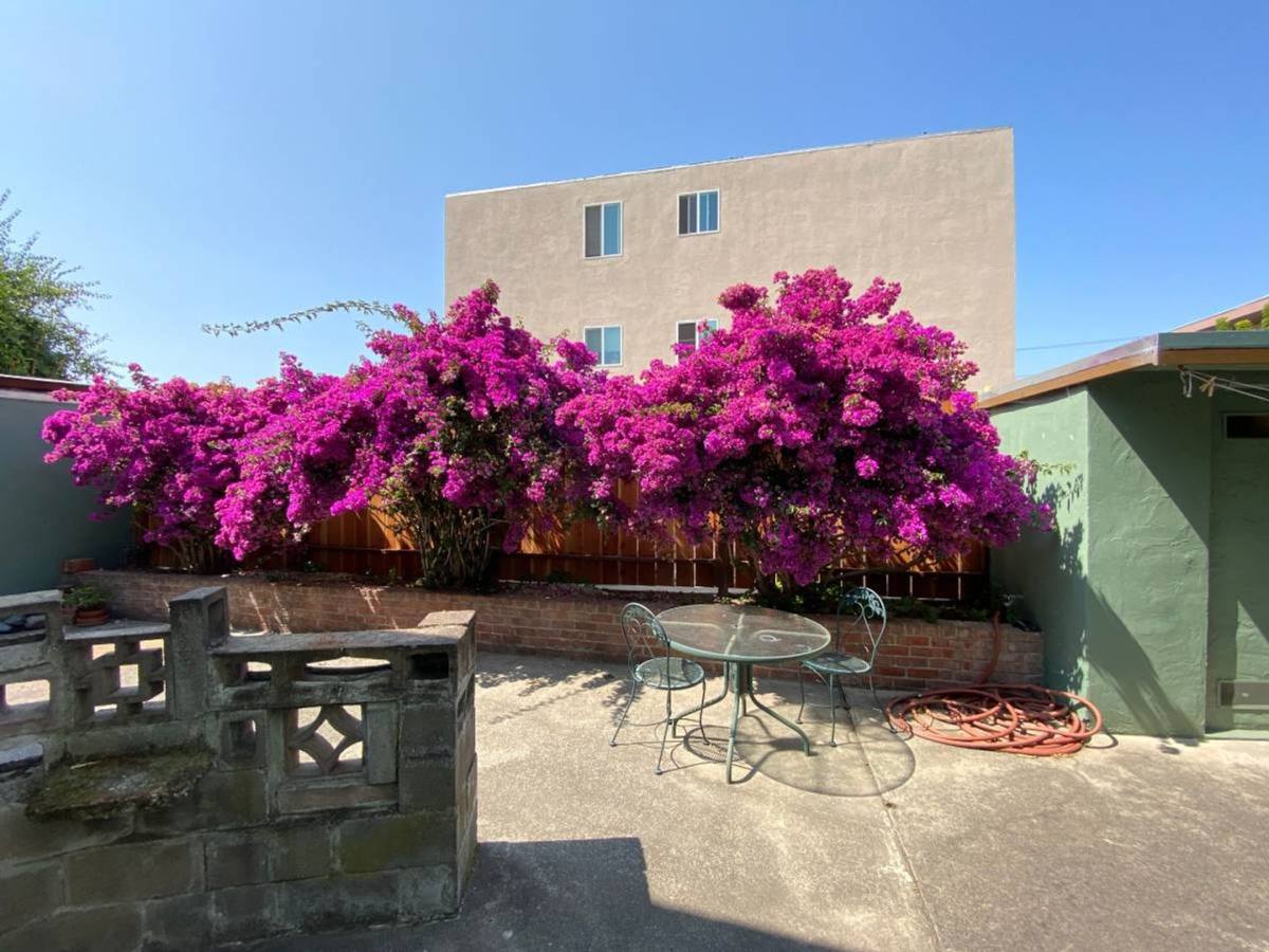 Apartment for rent at 1621 Blake St, Berkeley, CA 94703