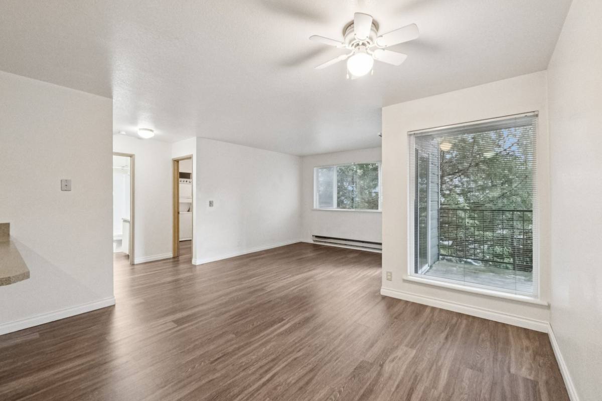 University Court, 5219 Brooklyn Ave NE, Seattle, WA 98105 - Apartment for Rent - Image 4