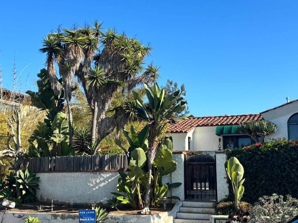 House for rent at 1615 Summit Ave, Cardiff By the Sea, CA 92007