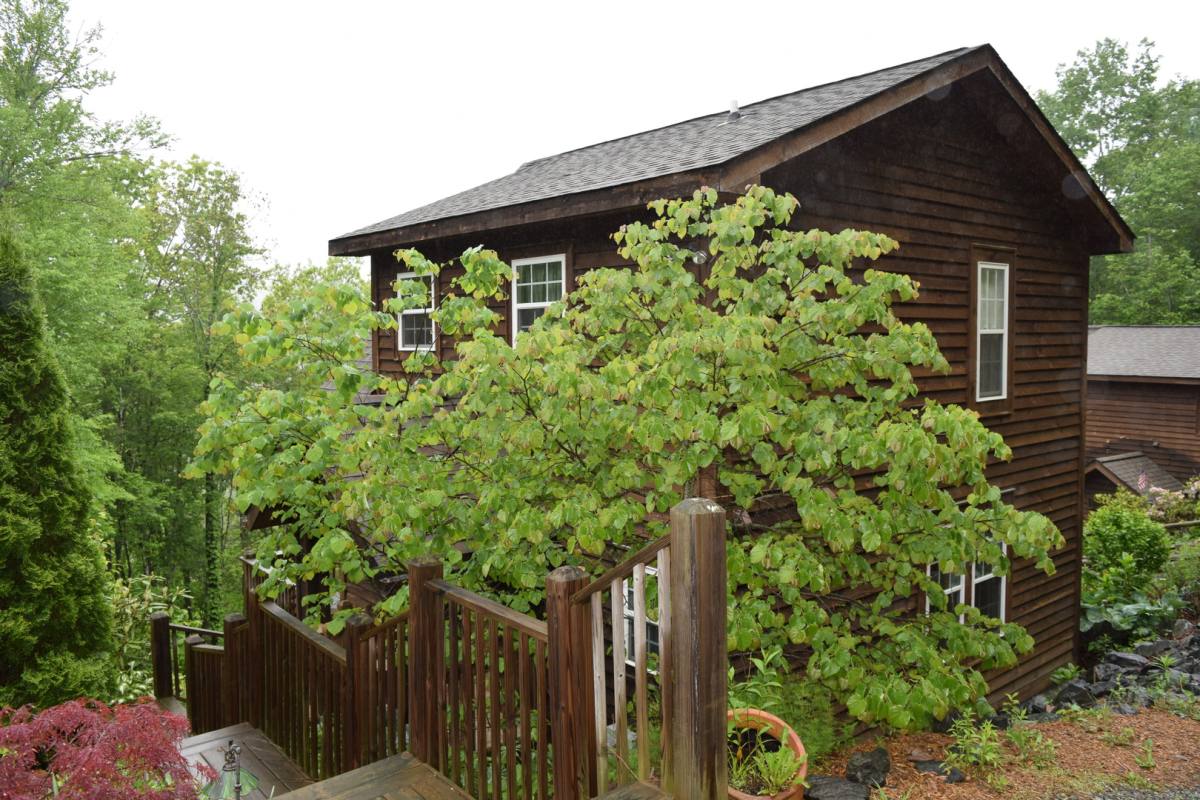 House for rent at 197 Marc St, Boone, NC 28607