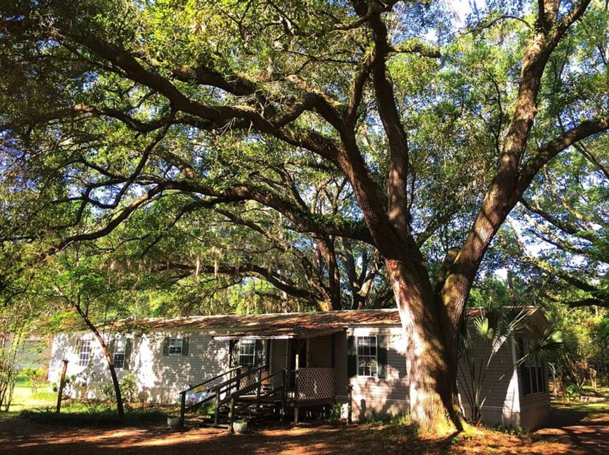 House for rent at 7424 135th Circle, Live Oak, FL 32060