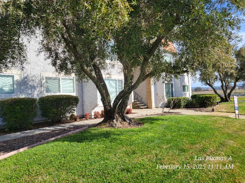 Apartment for rent at 2364 Las Plumas Ave #H, Oroville, CA 95966