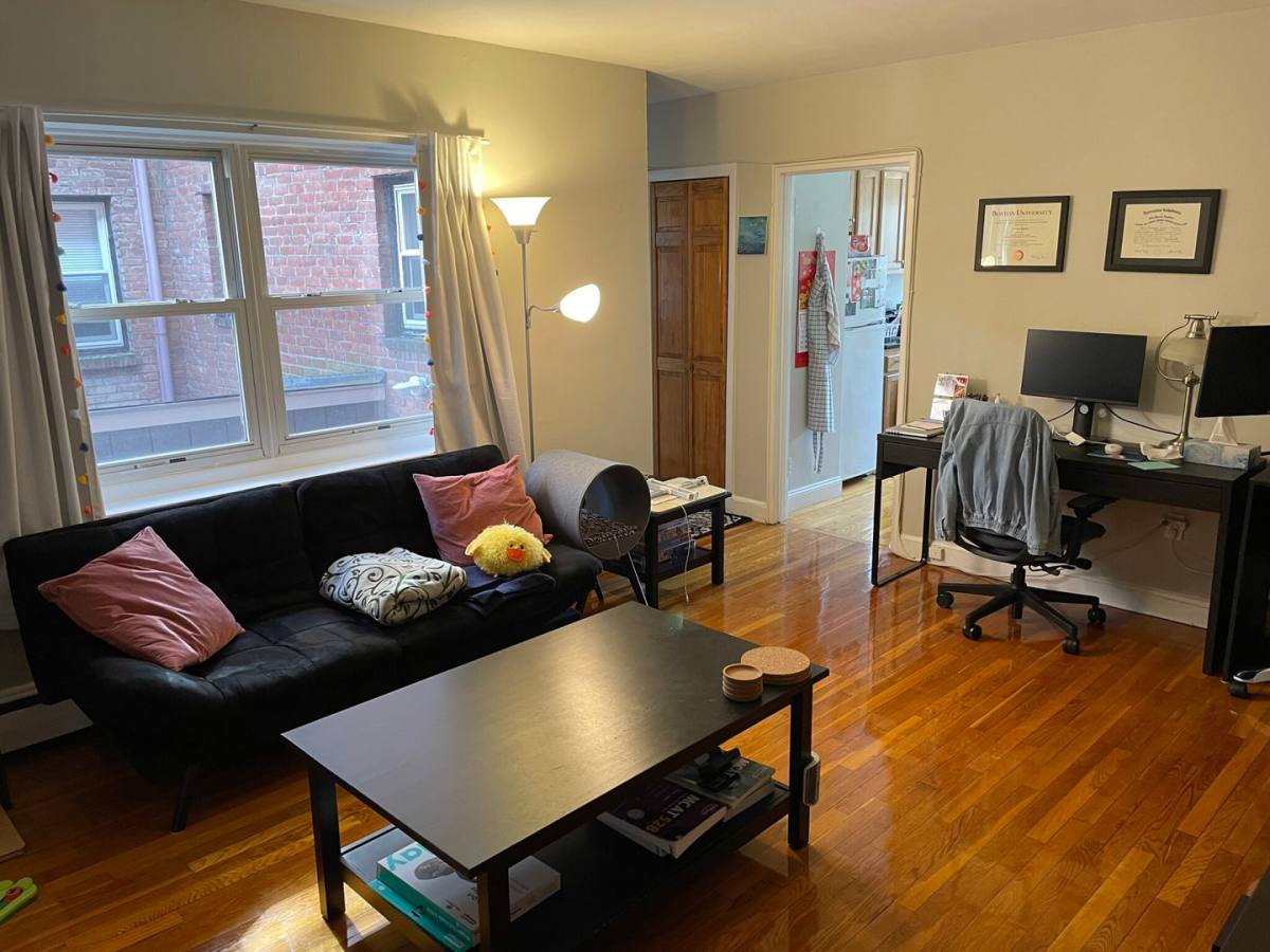Apartment for rent at 62 Selkirk Rd #9A, Brighton, MA 02135