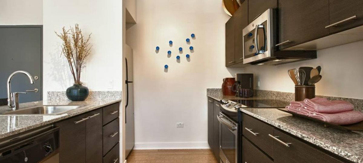 Apartment for rent at Domus, 4445 N 36th St, Phoenix, AZ 85018