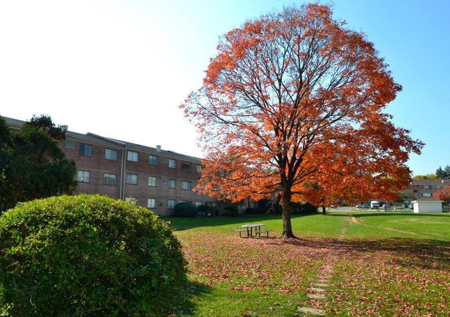 Apartment for rent at 5734 Backlick Rd, Springfield, VA 22150