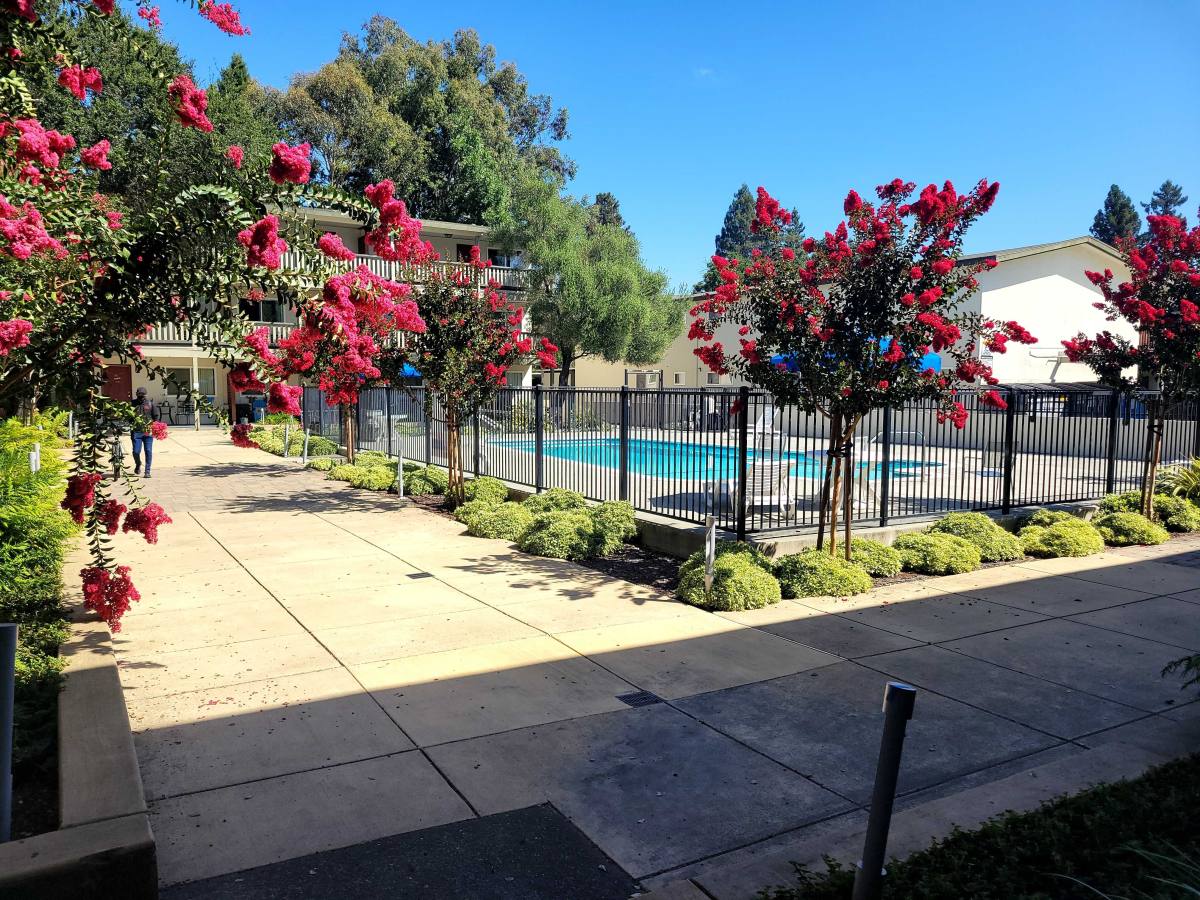 Apartment for rent at 1229 Pacific Ave #19, Santa Rosa, CA 95404