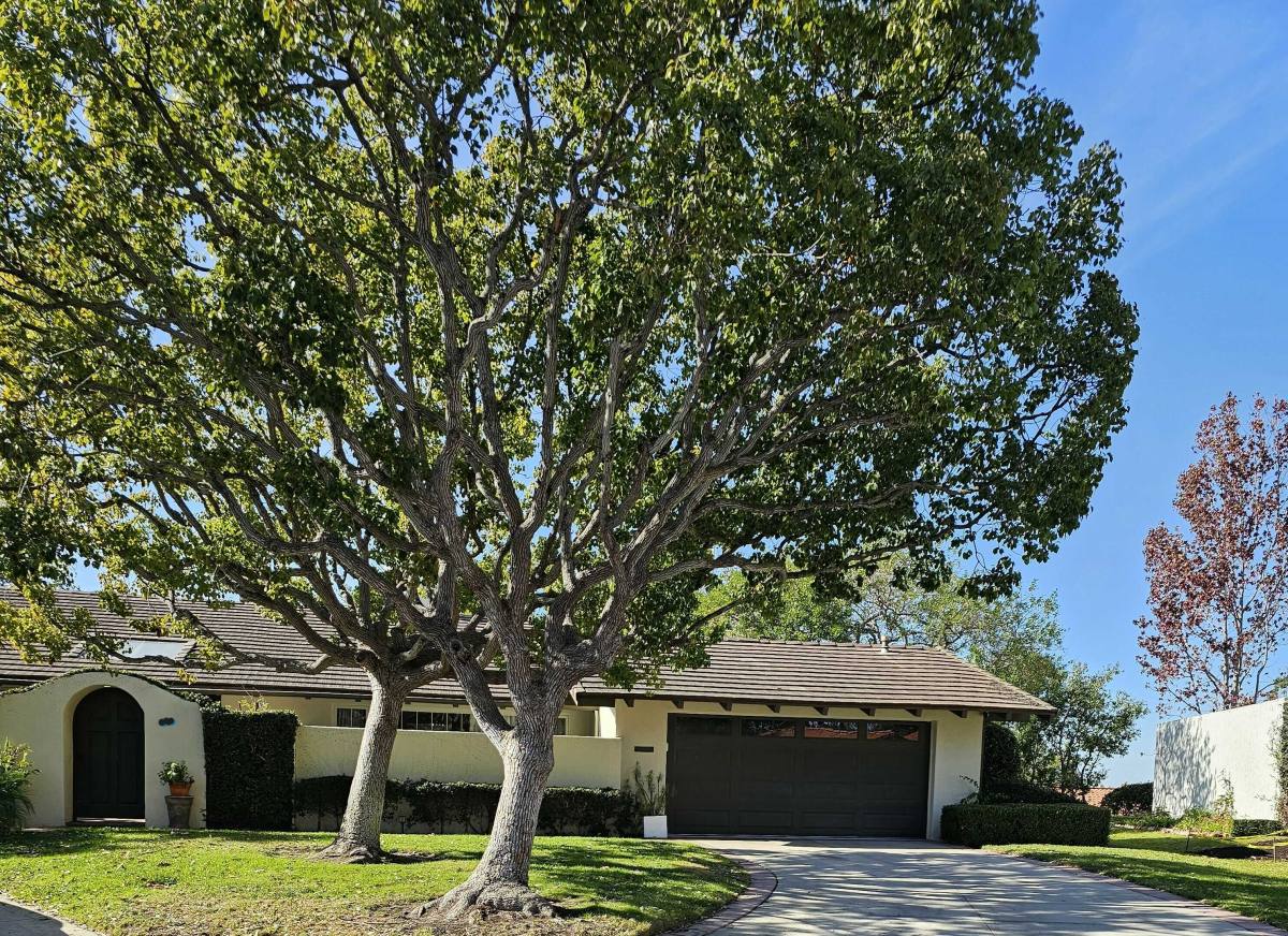 House for rent at 301 Esplanade, Newport Beach, CA 92660