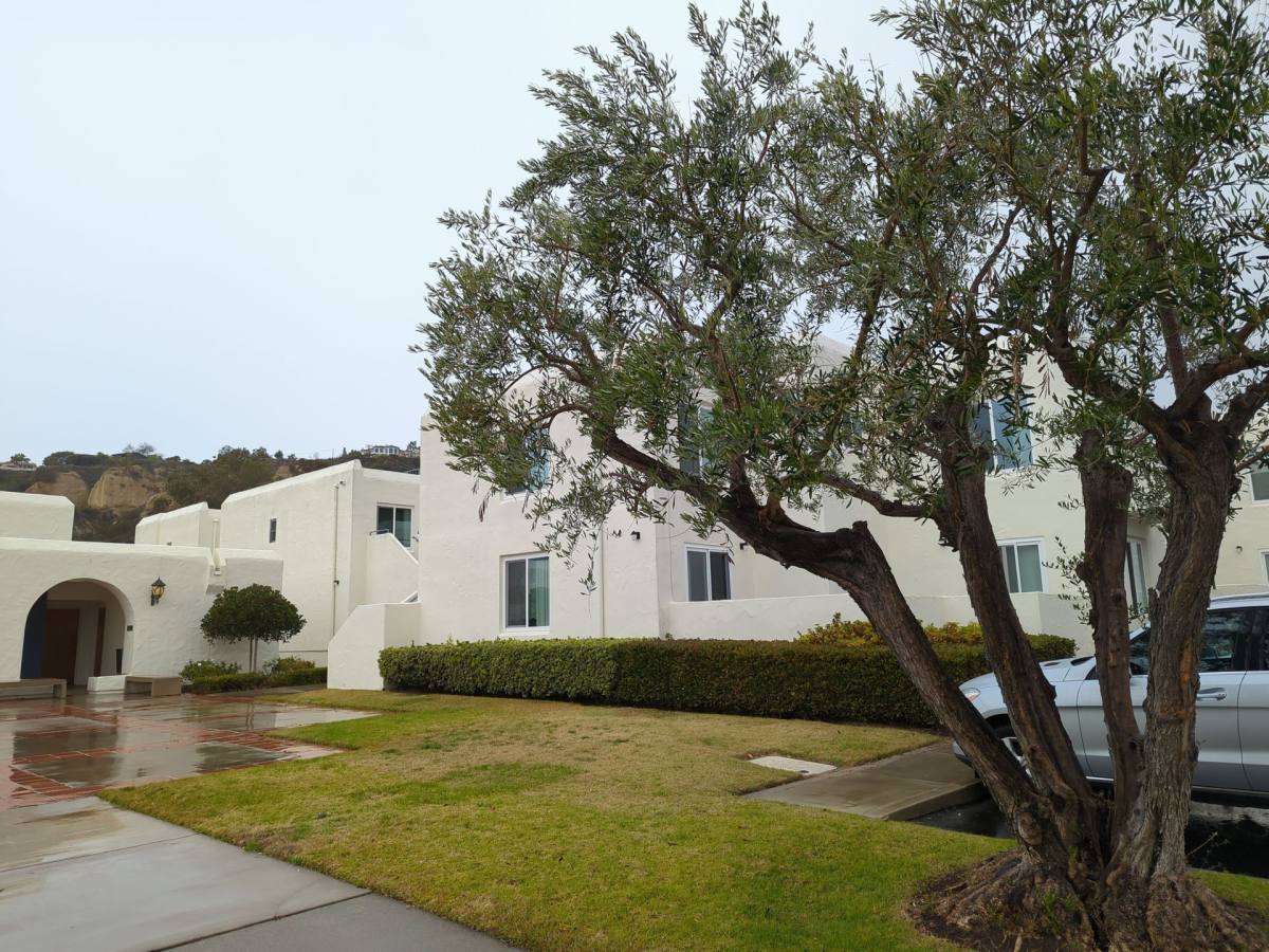 Apartment for rent at 3459 Manchester Ave, Cardiff By the Sea, CA 92007