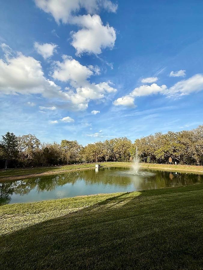 Apartment for rent at 11279 Old Pasco Rd, San Antonio, FL 33576