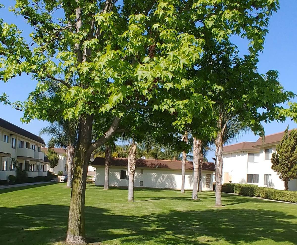 Apartment for rent at 272 Kennedy St, Chula Vista, CA 91911