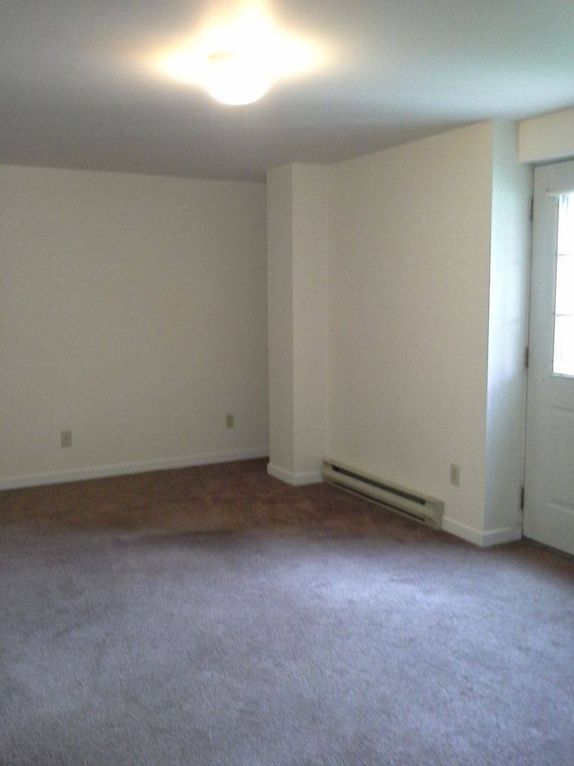 Apartment for rent at 142 E Bald Eagle St, Lock Haven, PA 17745