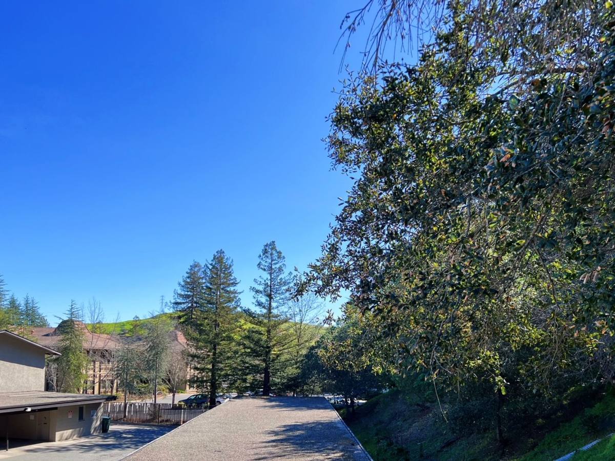 Apartment for rent at 328-340 Rheem Blvd, Moraga, CA 94556