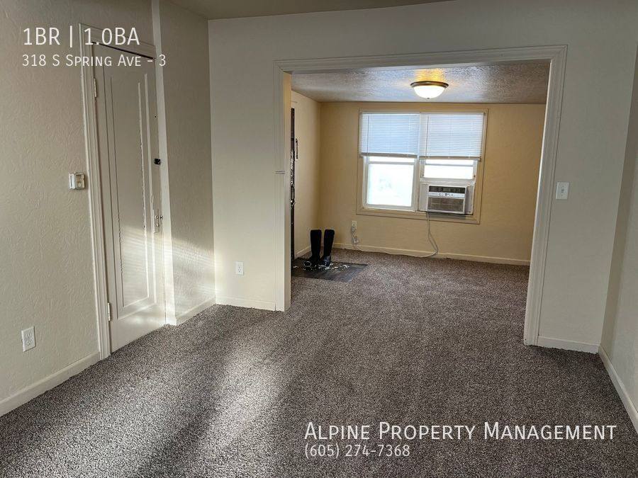 Apartment for rent at 318 S Spring Ave #3, Sioux Falls, SD 57104