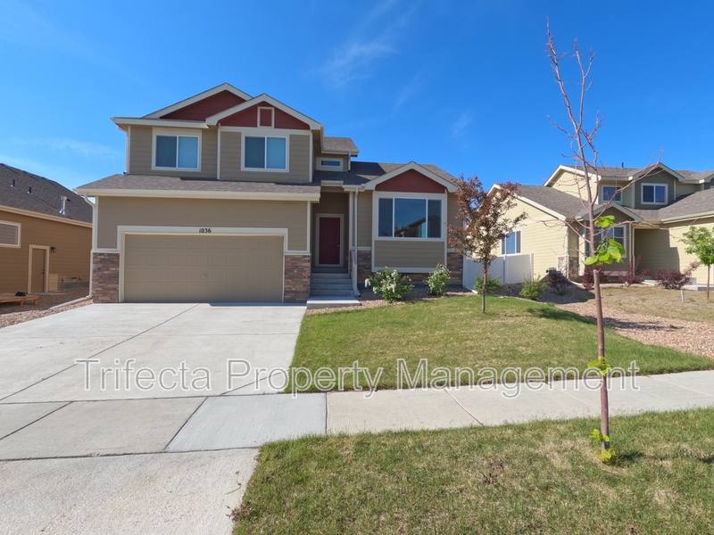 House for rent at 1036 Mount Oxford Ave, Windsor, CO 80550