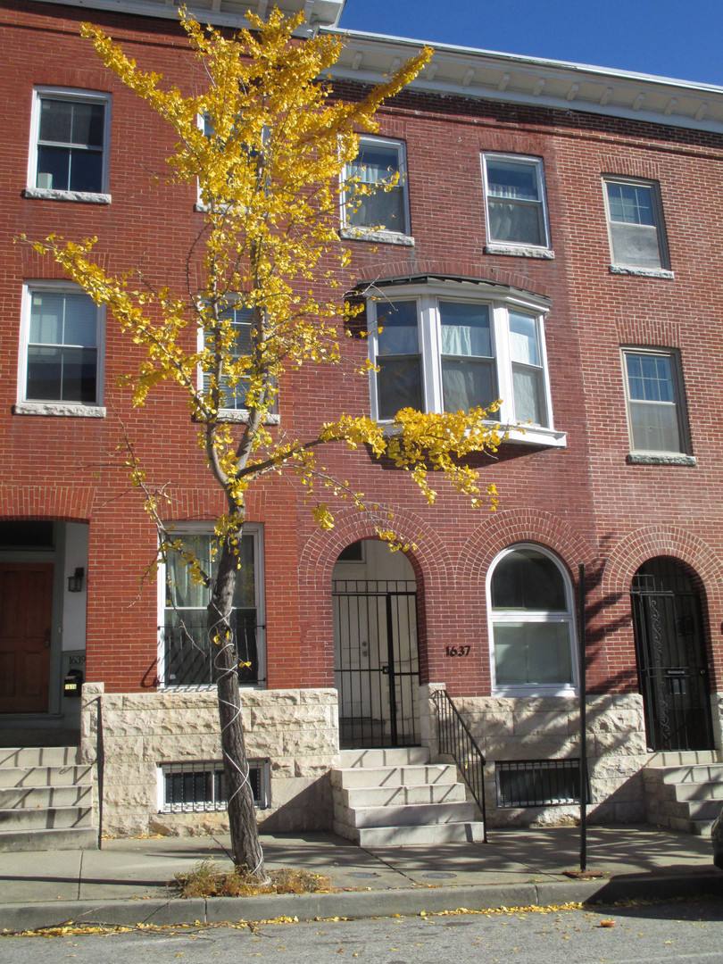 Townhouse for rent at 1637 N Calvert St, Baltimore, MD 21202