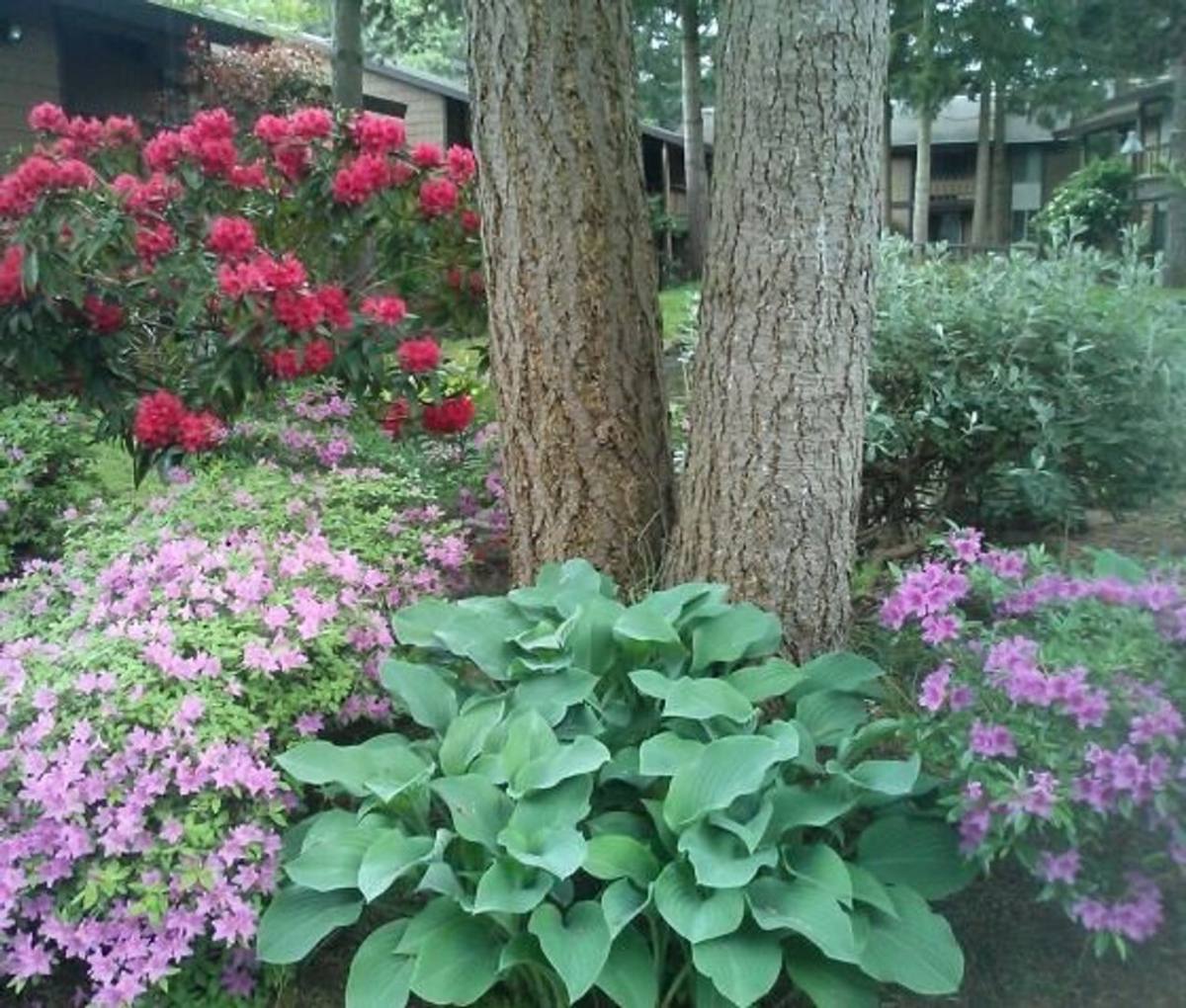 Apartment for rent at 14302 SE 18th St, Bellevue, WA 98007