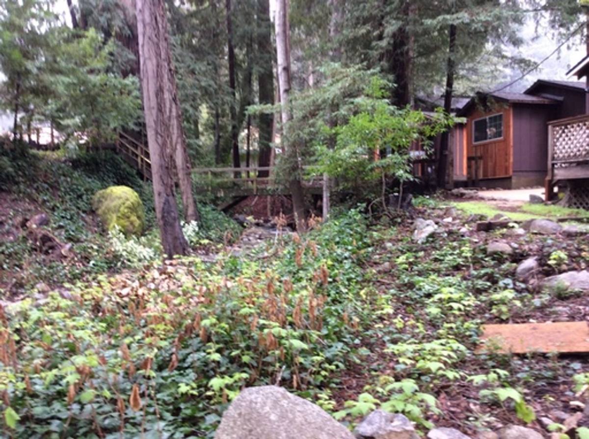 Apartment for rent at 11570 Highway, Brookdale, CA 95007