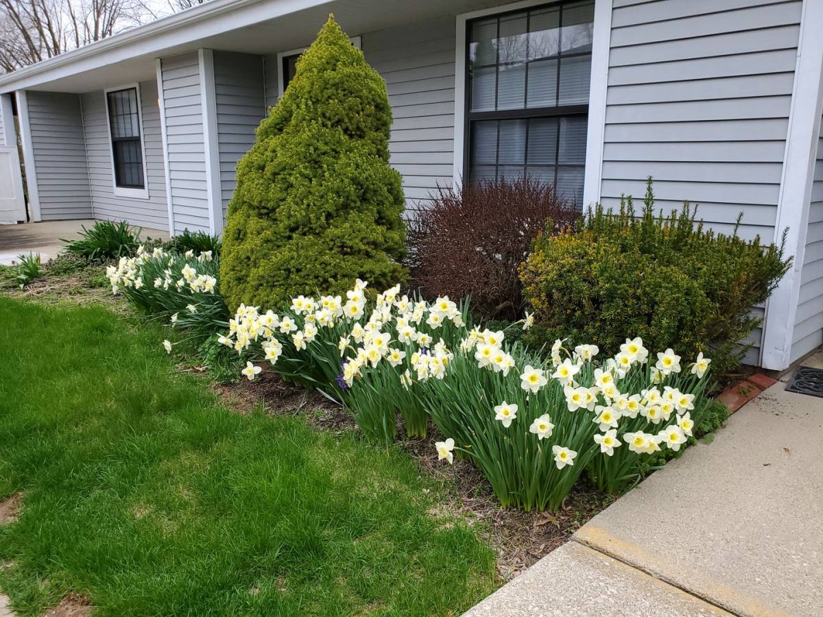 Apartment for rent at 425 Senior Dr E, Newark, OH 43055