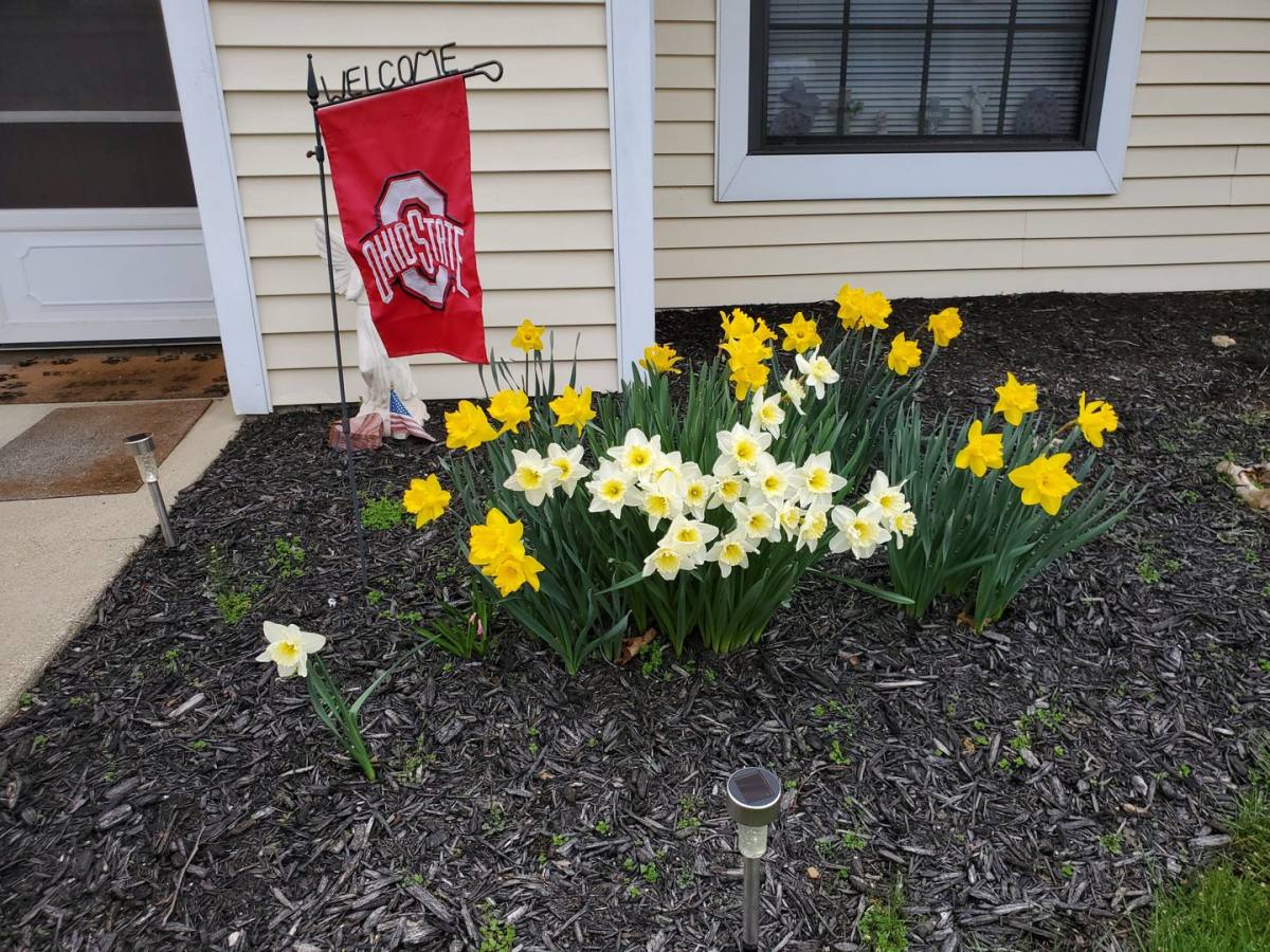 Apartment for rent at 425 Senior Dr E, Newark, OH 43055
