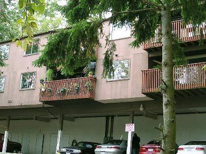 Apartment for rent at 800 - 20th St, Bellingham, WA 98225