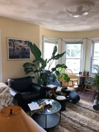 Apartment for rent at 59 Cedar St #3-L, Somerville, MA 02143