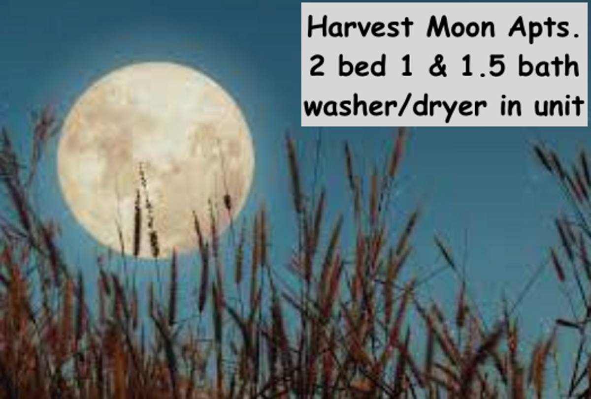 Apartment for rent at 1923 Harvest Moon, Gillette, WY 82718