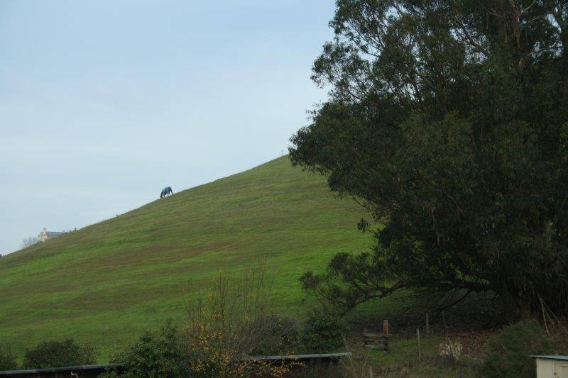 House for rent at 2891 I St Extension, Petaluma, CA 94952