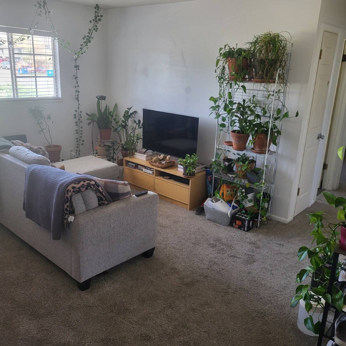 Apartment for rent at 1800 Pecan St #1, Fort Collins, CO 80526