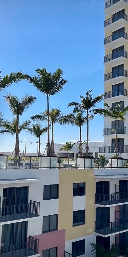 Apartment for rent at 1900 17th St S, Saint Petersburg, FL 33705