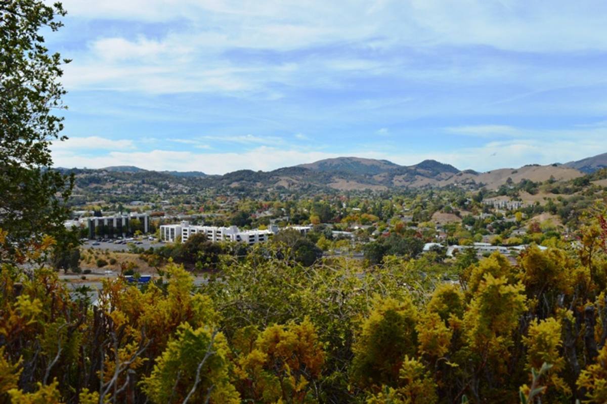 Condo for rent at 10 Professional Center Parkway, San Rafael, CA 94903