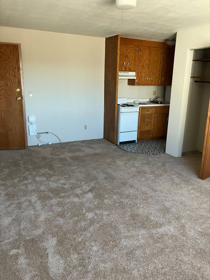 Apartment for rent at 225 6th Ave SW, Rochester, MN 55902