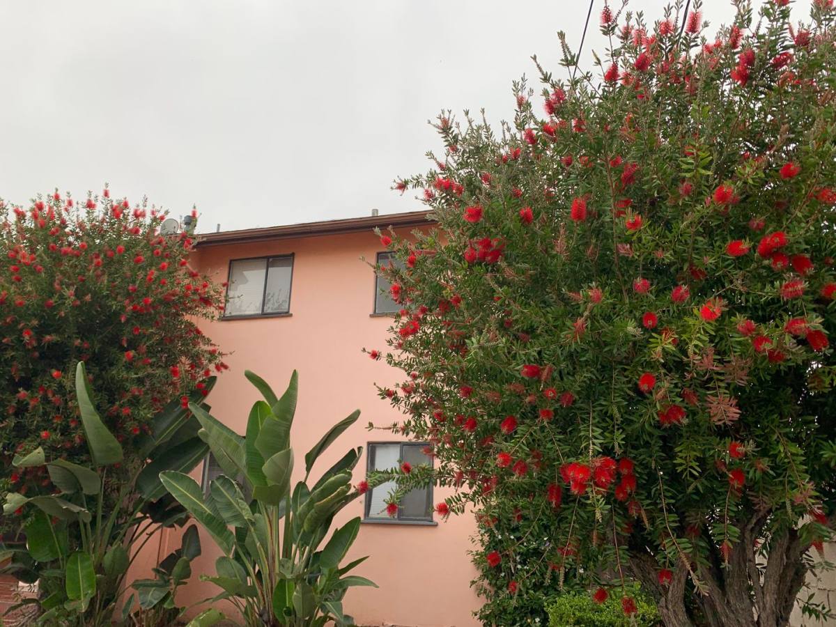 Apartment for rent at 400 N Atlantic Blvd, Alhambra, CA 91801