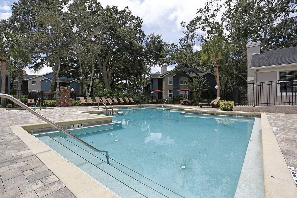 Apartment for rent at 31175 US-Highway 19 N, Palm Harbor, FL 34684