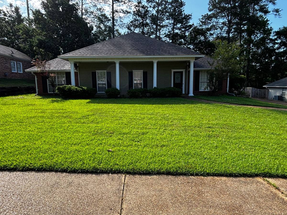 House for rent at 232 Boxwood Circle, Brandon, MS 39047