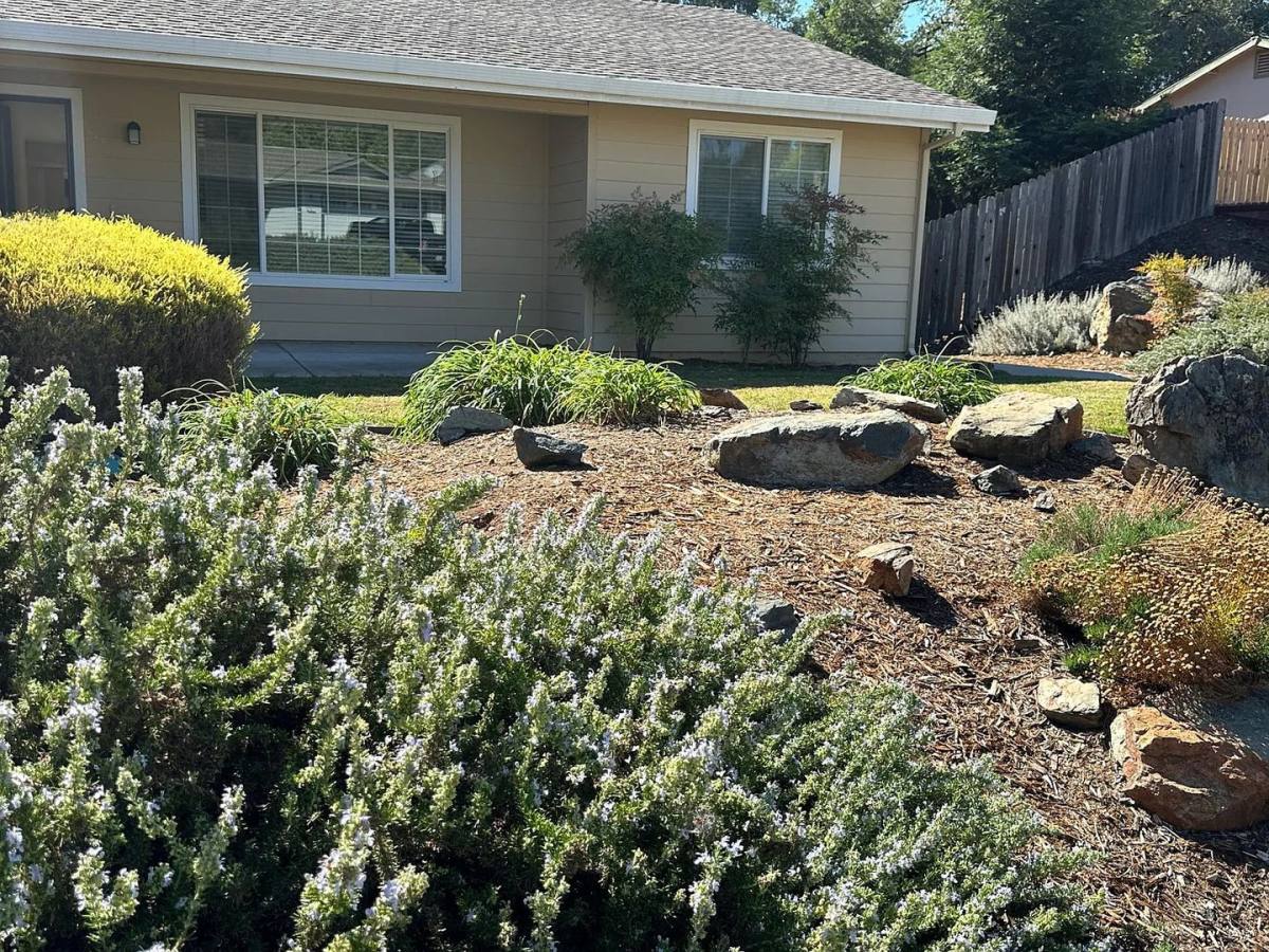 House for rent at 1155 Summer Ridge Court, Auburn, CA 95603